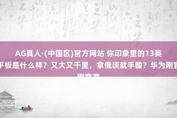 AG真人·(中国区)官方网站 你印象里的13英寸平板是什么样？又大又千里，拿俄顷就手酸？华为刚官宣