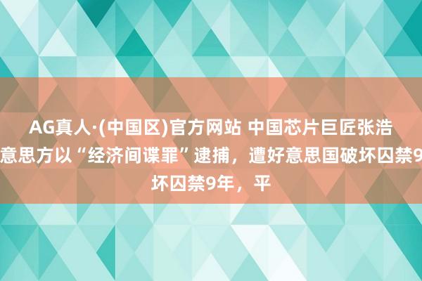 AG真人·(中国区)官方网站 中国芯片巨匠张浩，被好意思方以“经济间谍罪”逮捕，遭好意思国破坏囚禁9年，平