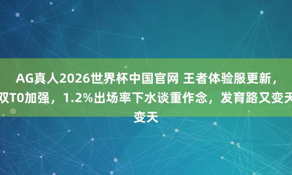 AG真人2026世界杯中国官网 王者体验服更新，双T0加强，1.2%出场率下水谈重作念，发育路又变天