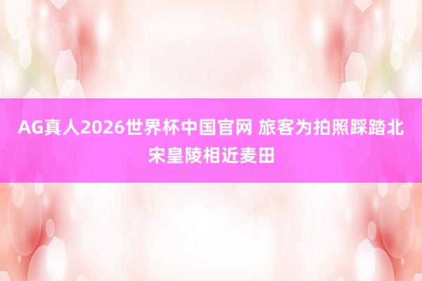AG真人2026世界杯中国官网 旅客为拍照踩踏北宋皇陵相近麦田