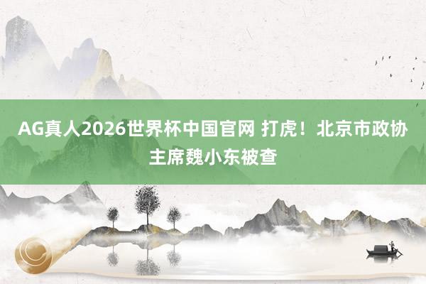 AG真人2026世界杯中国官网 打虎！北京市政协主席魏小东被查
