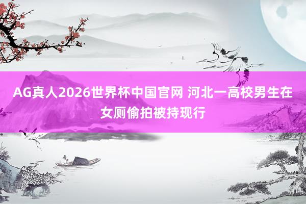 AG真人2026世界杯中国官网 河北一高校男生在女厕偷拍被持现行