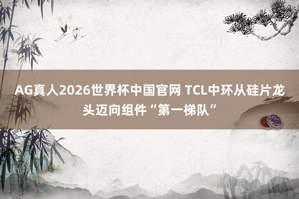 AG真人2026世界杯中国官网 TCL中环从硅片龙头迈向组件“第一梯队”