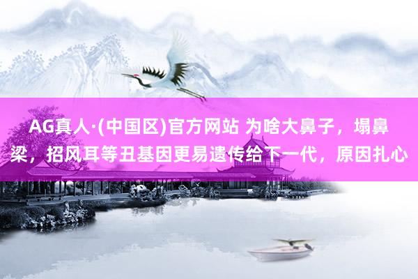 AG真人·(中国区)官方网站 为啥大鼻子,塌鼻梁,招风耳等丑基因更易遗传给下一代,原因扎心
