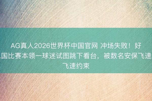 AG真人2026世界杯中国官网 冲场失败！好意思国比赛本领一球迷试图跳下看台，被数名安保飞速约束